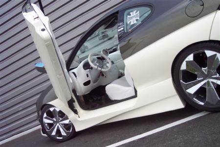 pas mal les porte papillons